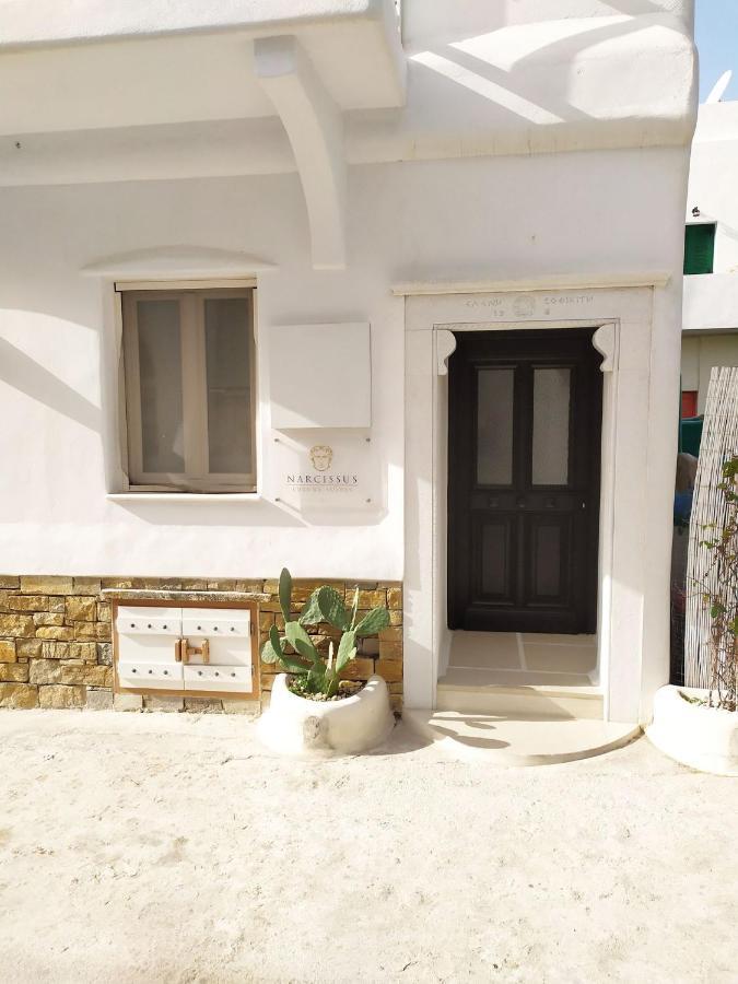 Narcissus Luxury * Naxos City