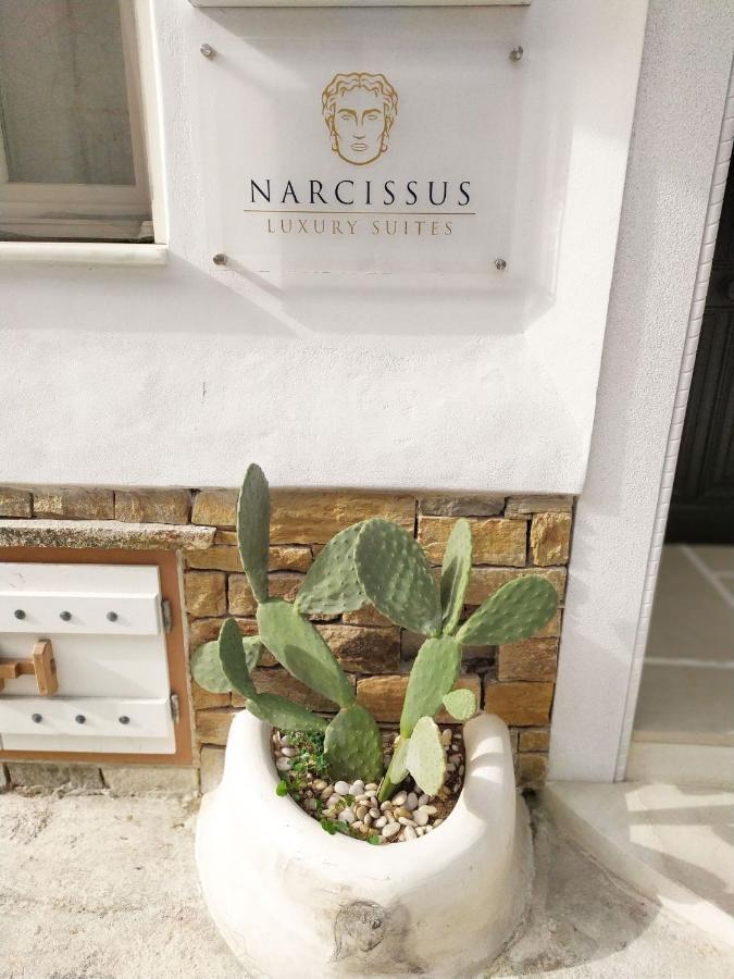 Narcissus Luxury Apartment *