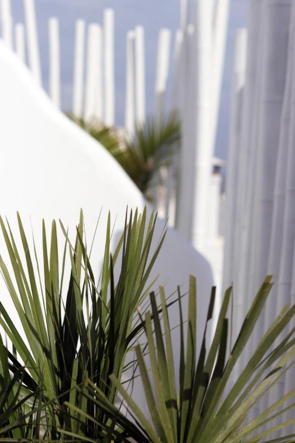 Apartment Narcissus Luxury Naxos City